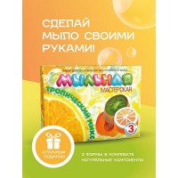 Набор д/изготовления мыла Тропический микс Мыльная мастерская