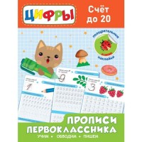 Проф-Пресс Прописи первоклассника Цифры/Счет до 20